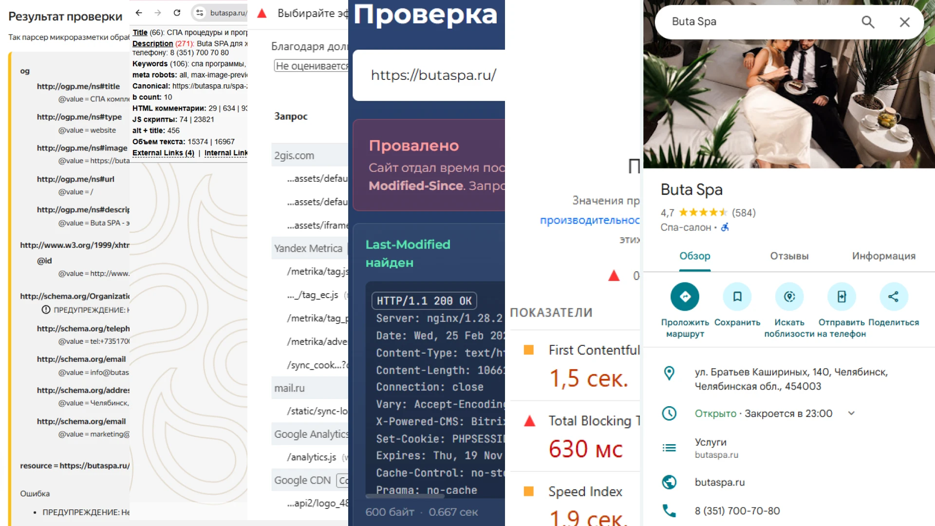 Пример SEO аудита сайта butaspa.ru