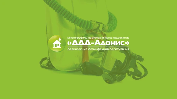 ДДД-Адонис